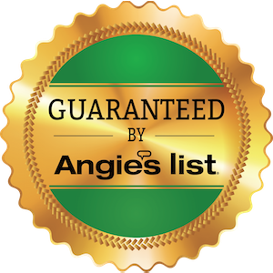 300PixelAngiesList